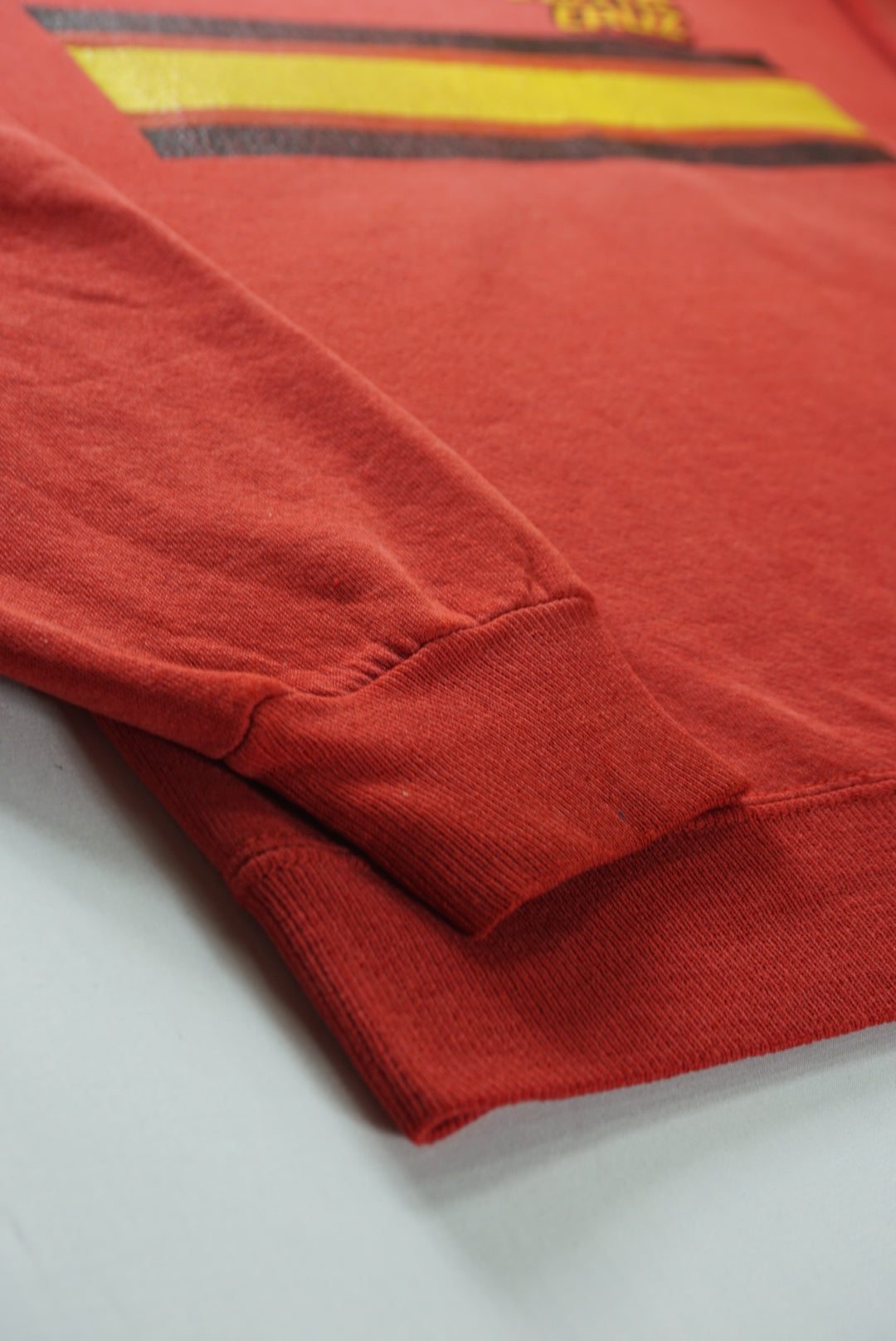 Santa Cruz Stripe Crewneck Sweatshirt