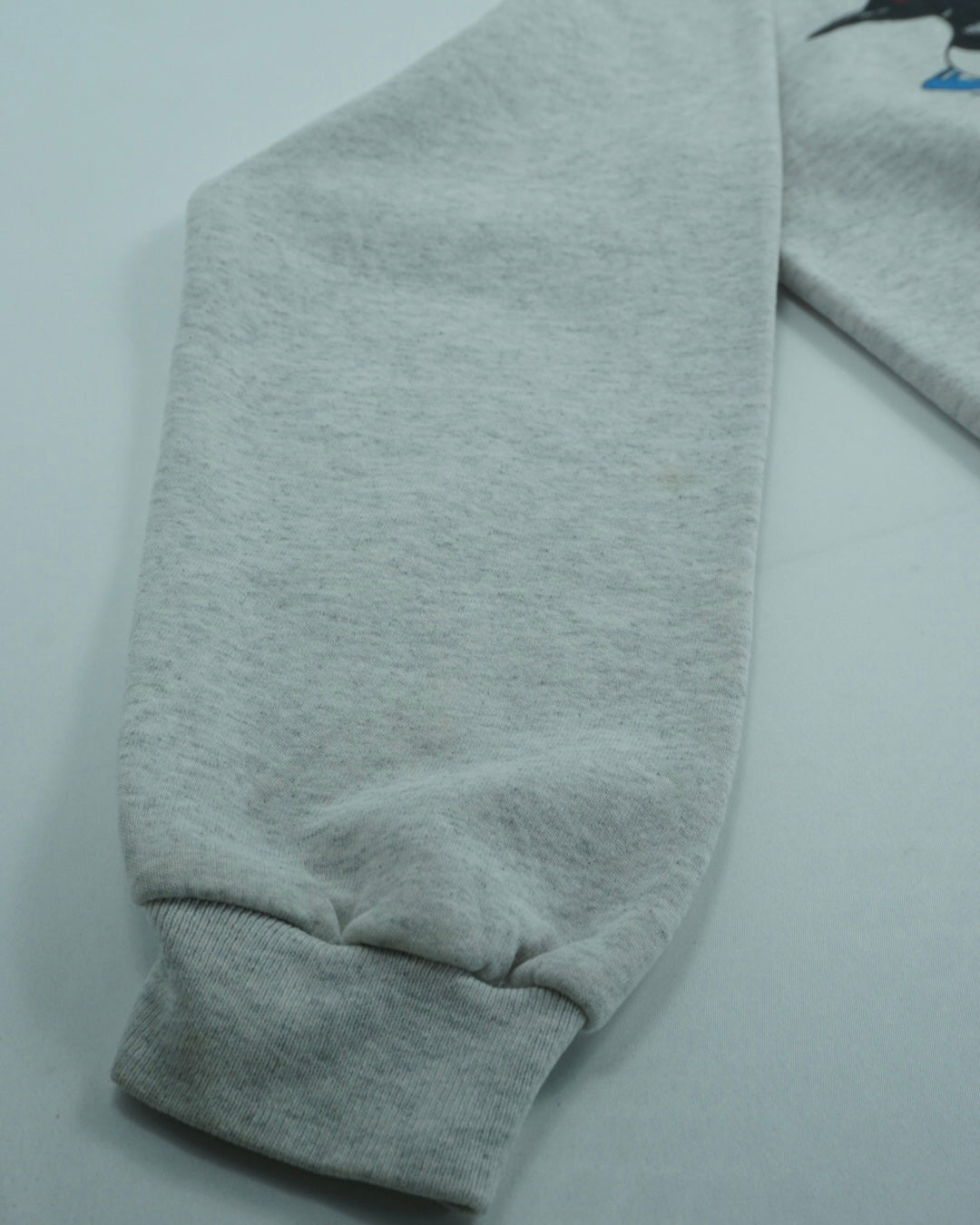 SANTEE Heavyweight Loon Graphic Crewneck