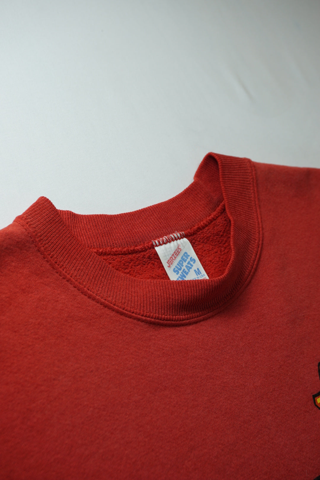 Santa Cruz Stripe Crewneck Sweatshirt