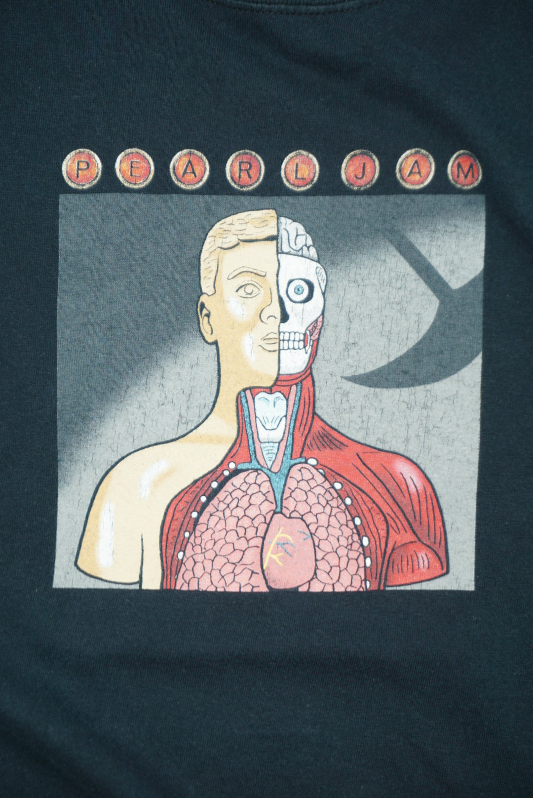 PEARL JAM Anatomy Graphic T-Shirt (GILDAN Body)